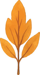 Obraz premium A small orange leaf with delicate edges, showcasing autumn's subtle beauty. Ideal for seasonal cards, nature prints, or fall decor, its intricate design adds a touch of elegance to botanical illustrat