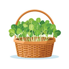 Watercress in a basket Flat Vector Art with Clean Design and Minimal Detailing