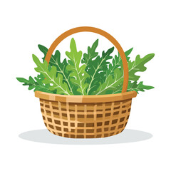 Arugula in a basket Flat Vector Art with Clean Design and Minimal Detailing