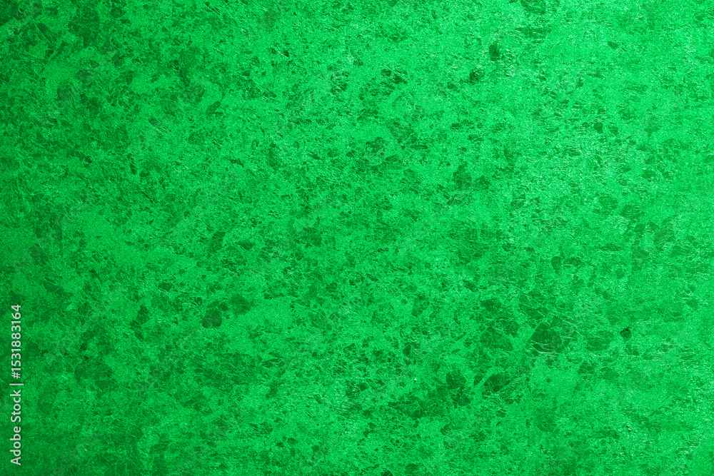 Poster Wall interior background, studio and backdrops show products. with leaf shadow from window color green and white. background for text insertion and presentation of product	