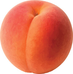 peach on white background