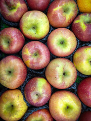 Top view of a collection of apples with gradient colors from red to green sold at a fruit market.