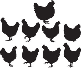 Hen bird silhouette vector illustration