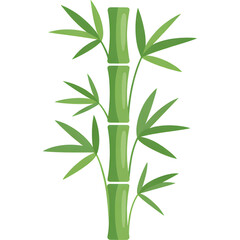 Green Bamboo Illustration
