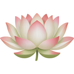 Light Pink Lotus Flower