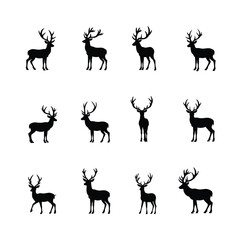 Naklejka premium Twelve elegant deer silhouettes a perfect set