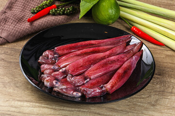Raw fresh squids for cooking