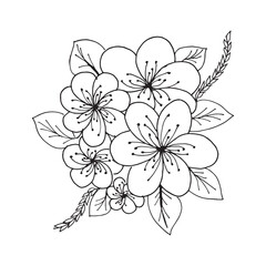 Hibiscus Cluster Illustration