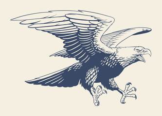 Hand Drawn Illustration of Fierce American Eagle