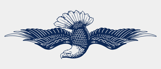 Illustration of Fierce American Eagle