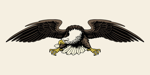 Illustration of Vintage American Eagle Flying