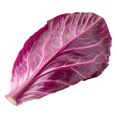 Obraz premium A crisp textured leaf of red cabbage isolated on a transparent background