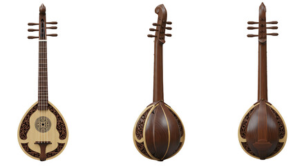 Naklejka premium Antique string instrument three views