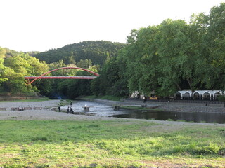 新緑が美しい5月の飯能河原（夕景）
