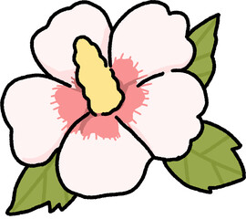 A delicate hibiscus flower illustration inspired by Korean style, drawn in a soft and simple cartoon design.