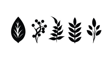 Botanical Leaf Silhouette Icons: Nature-Inspired Vector Graphics for Design
