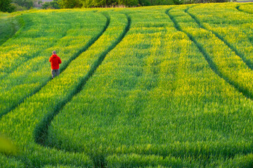 Man enjoying gorgeous rural landscape in South Moravia region, Czech Republic