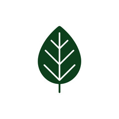 Isolated Dark Green Leaf Icon with Veins and Stem on White Background