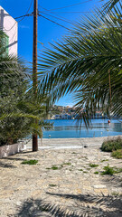 Seaside Village With Colorful Houses Framed By Palm Trees In Kastellorizo Island, Greece, On A Bright Sunny Day, Concept Of Tropical Retreat, Coastal Living, Travel Inspiration, Summer Vacation.