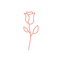 Rose Line Drawing