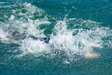 an athlete in the swimming event in a triathlon competition