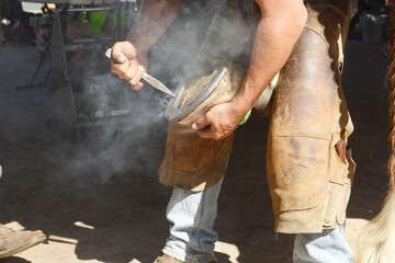farriers test the horseshoe