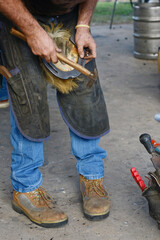 farriers nail on the horseshoe
