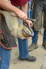 farriers nail on the horseshoe