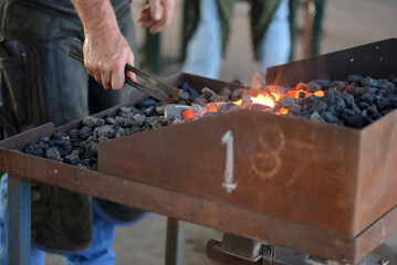 farrier heats the horseshoe