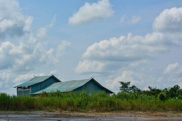 Two simple, low-lying buildings with green-blue corrugated roofs, partially obscured by tall green...