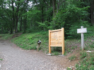 日高市の日和田山登山口