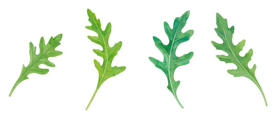 A collection of vibrant green leaves showcasing detailed textures and shapes.