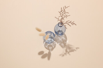 Two glass vases with dried flowers on a beige background with shadow from sunlight. Minimalistic aesthetic still life. Top view