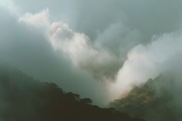 Fototapeta premium Moody Forest Landscape with Mist and Soft Cloudlight, Atmospheric Nature Scene Evoking Calm and Serenity in Environmental