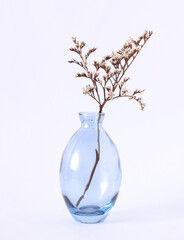 Glass vase with dried flowers on white background. Minimalistic aesthetic still life.