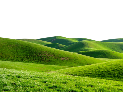 Rolling Green Hills with Lush Grass Meadow, Landscape Cutout, Transparent PNG