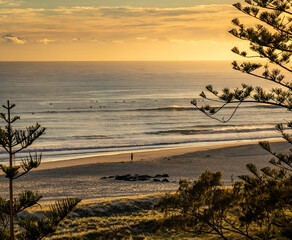 Beautiful golden sunrise over early morning surfers, Kirra Beach, Queensland