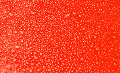 Red background in water drops close up
