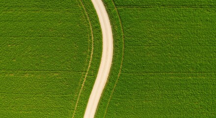 Aerial View Of Winding White Path Through Lush Green Field