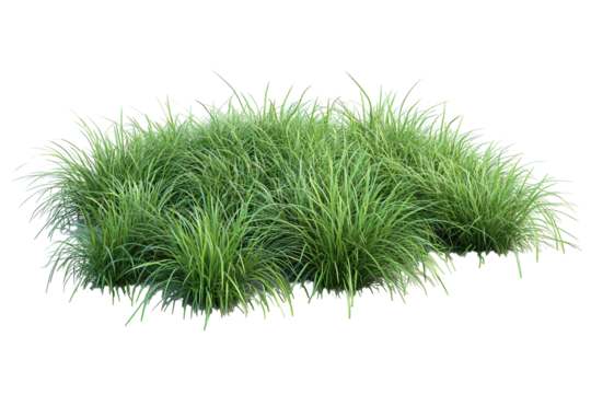 High-resolution green grass field texture on transparent background — seamless PNG cutout perfect for landscape compositing, lawn mock-ups, and eco-friendly branding