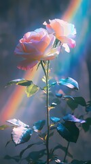 Digital technology black background rainbow white rose illustration poster background