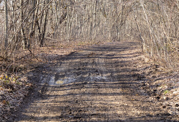 autumn forest park area, hiking trail through the area, trees with marked course signs