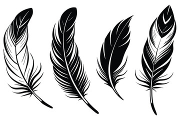Obraz premium Elegant Feather Designs Four Unique Black and White Illustrations