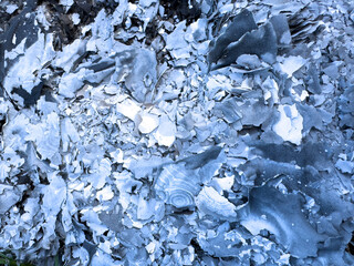 The texture is white gray ash from burnt leaves on the ground. Natural burnt paper