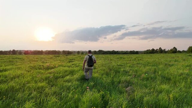 A man with a backpack walks through a summer field with sedge and wildflowers