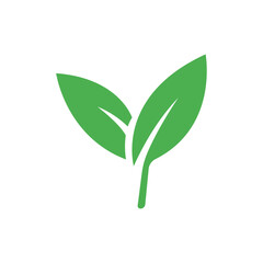 Eco leaf. Iconic illustration. White background.