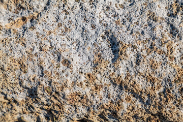 Weathered olivine in basalt, Waiʻanae Range / Waianae Mountains / shield volcano / Waiʻanae volcano. Kaʻena Point Trail（North), Oahu Hawaii. 