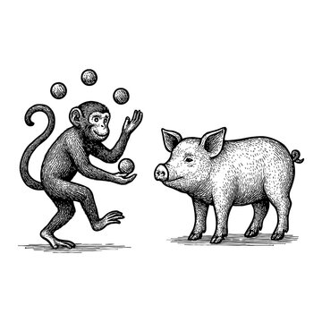 Monkey Juggling Balls Next to Pig Black and White Outline Line Art Drawing Illustration