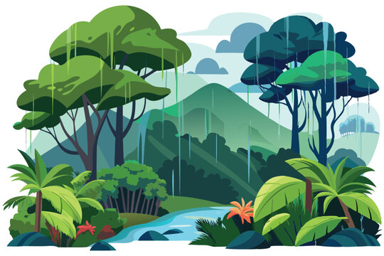 Rainforest during rain