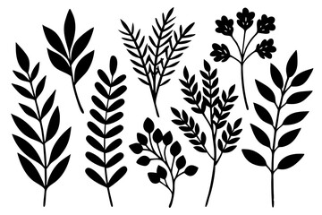 This image features a seamless pattern of hand-drawn leaves in black and white. The leaves are depicted in a realistic style, with intricate details and textures. The pattern is perfect for use in a v